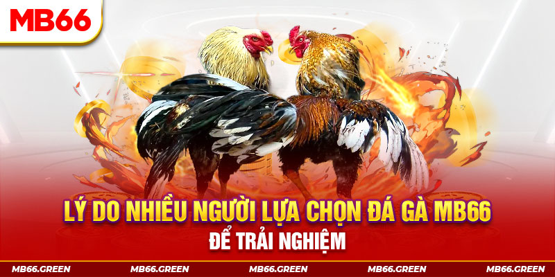 79king78 xổ số miền bắc thứ bảy hàng tuần
